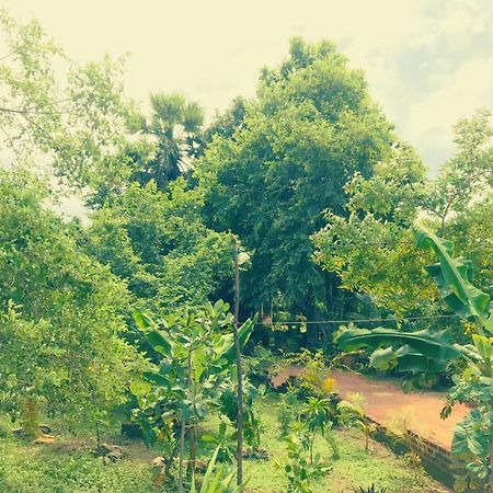 Oleena Home Stay Habarana Exterior foto