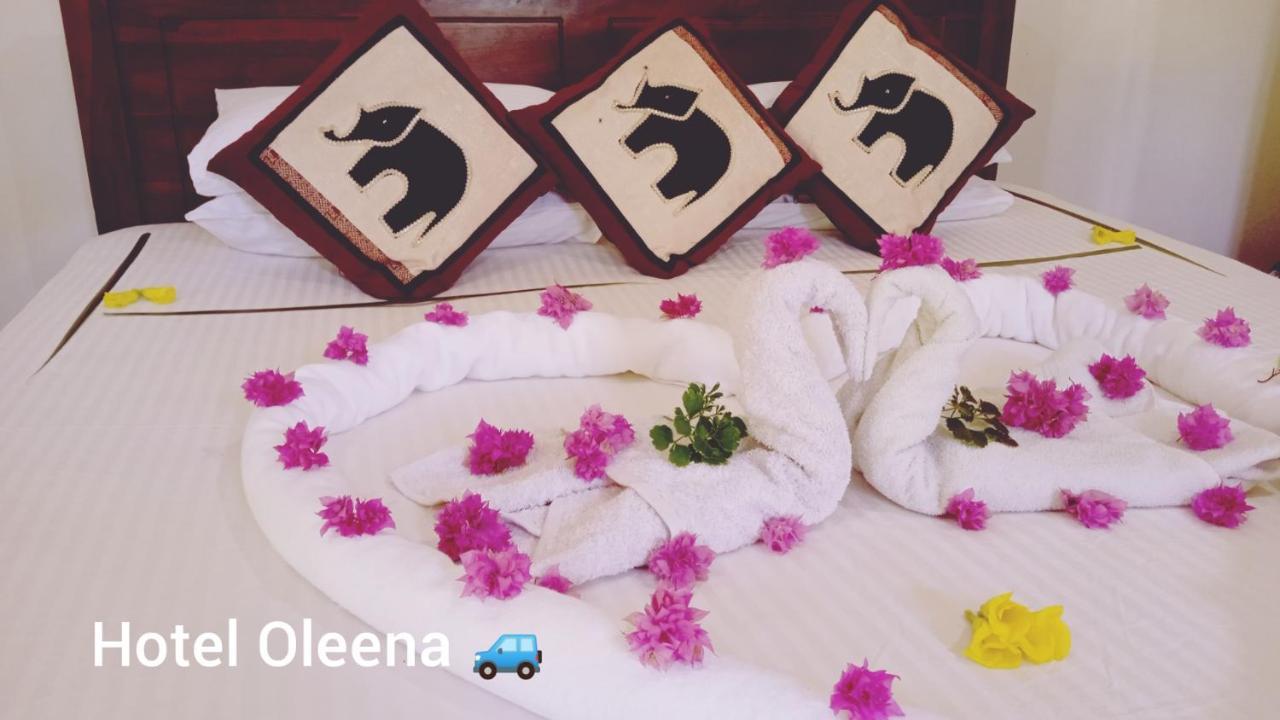 Oleena Home Stay Habarana Exterior foto