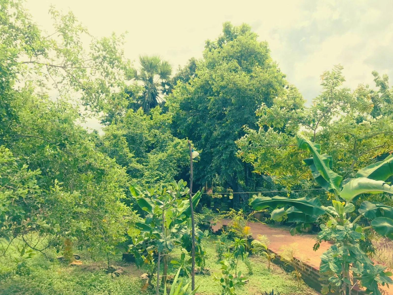Oleena Home Stay Habarana Exterior foto